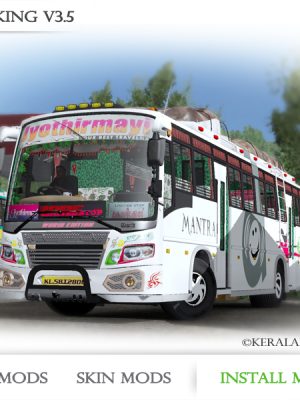 Leyland Viking V03 Tiger Coach Beta